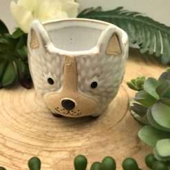 Portapiantina Bianco in Ceramica - AD Emozioni - Articolo da Regalo, Home Design