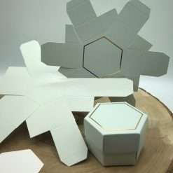 Set 20 Scatoline Esagonali Porta Confetti Salvia Fai Da Te DIY