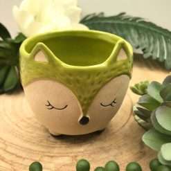 Bomboniera Battesimo Comunione Volpe Portapiantina Verde in Ceramica - AD Emozioni