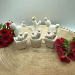 STOCK 3 PEZZI Mini Profumatori Cactus in Ceramica - Articolo da Regalo, Home Design