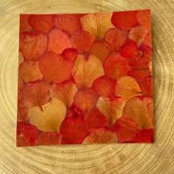 Stock 4 pz Foglio Decorativo con Petali Essiccati SBL05A - Hobbistica, Fai Da Te
