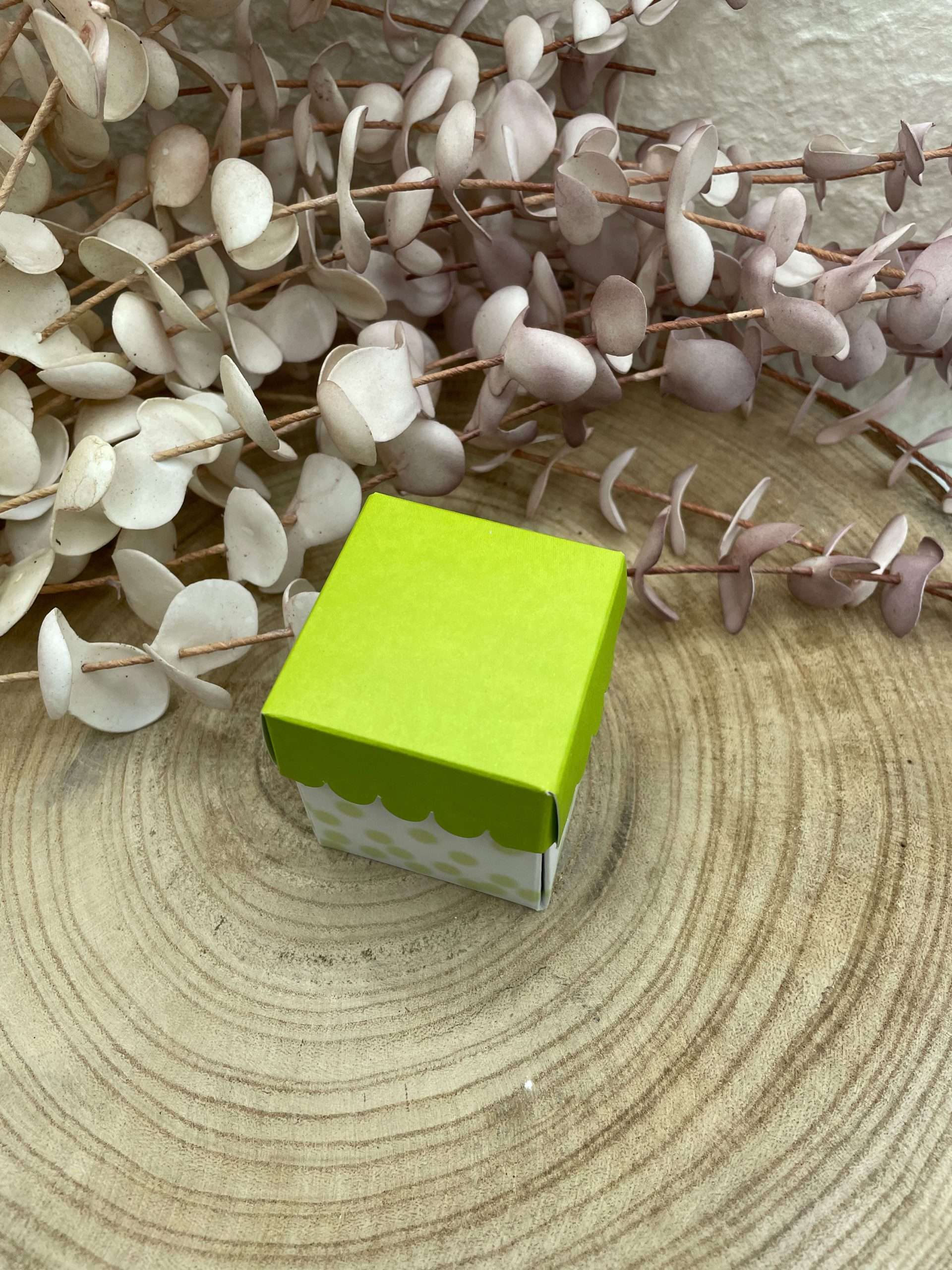 Scatolina-porta-confetti-quadrata-pois-verdi (2)