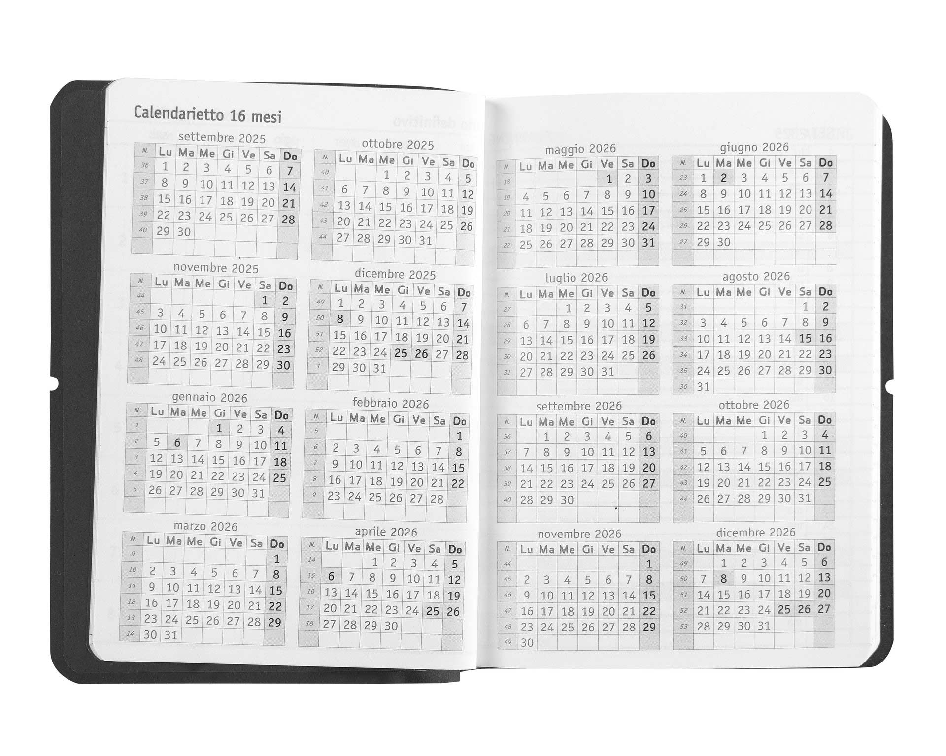 Diario-agenda-16-mesi-day-mini-comix-u-yourself-special-lace-black (3)