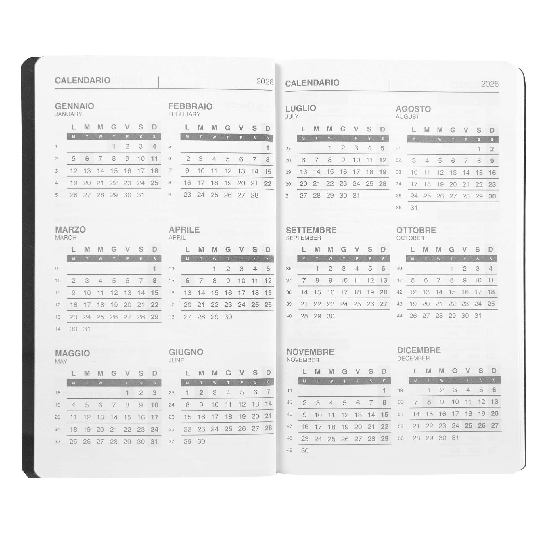 Agenda-settimanale-eastpak-2026-large-ghiaccio (3)