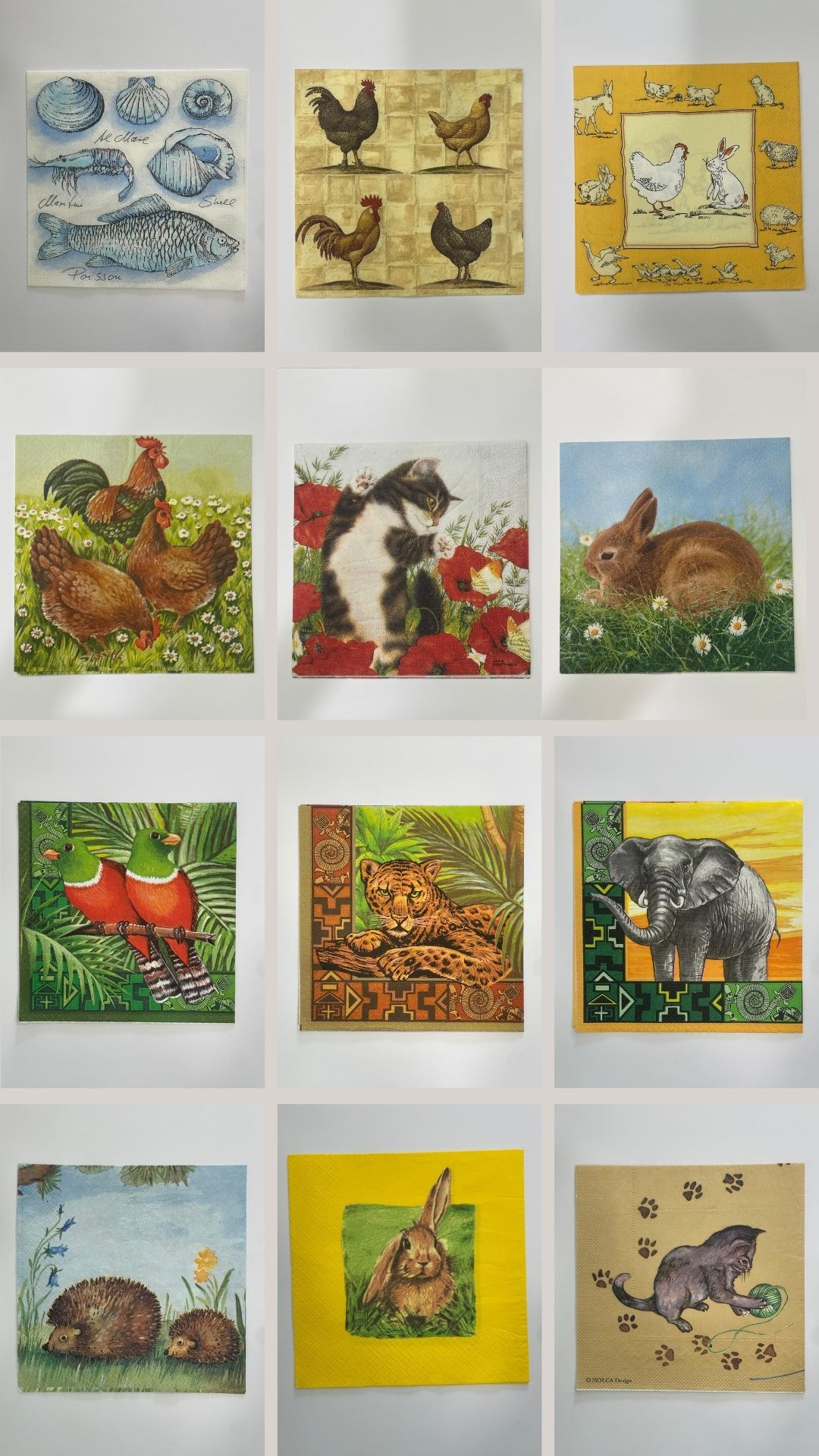 ANIMALI41-52
