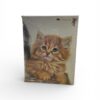 Album Portafoto con Gatti